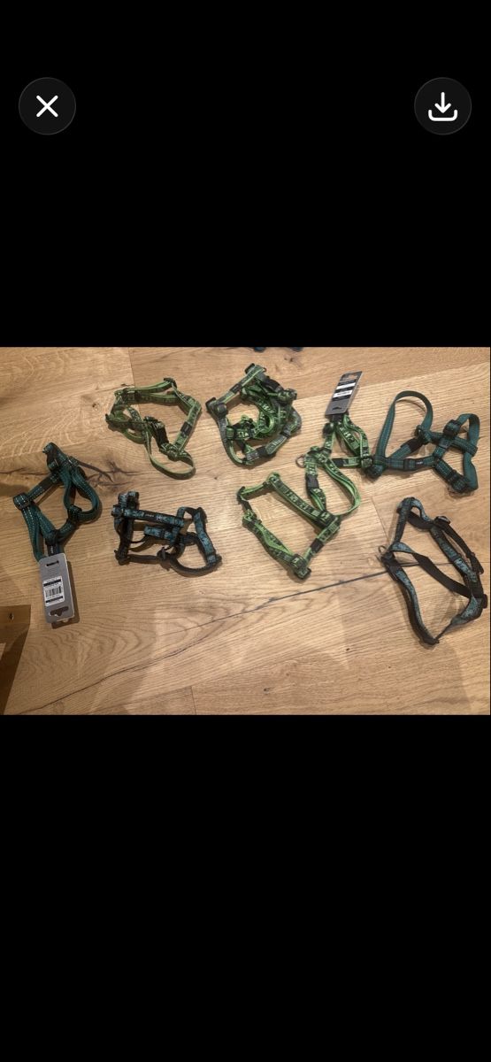 Leine & Halsband: 50 Stück neue Hundegeschierre – Neu (gemäss Beschreibung) aus Trübbach von alder.m 1