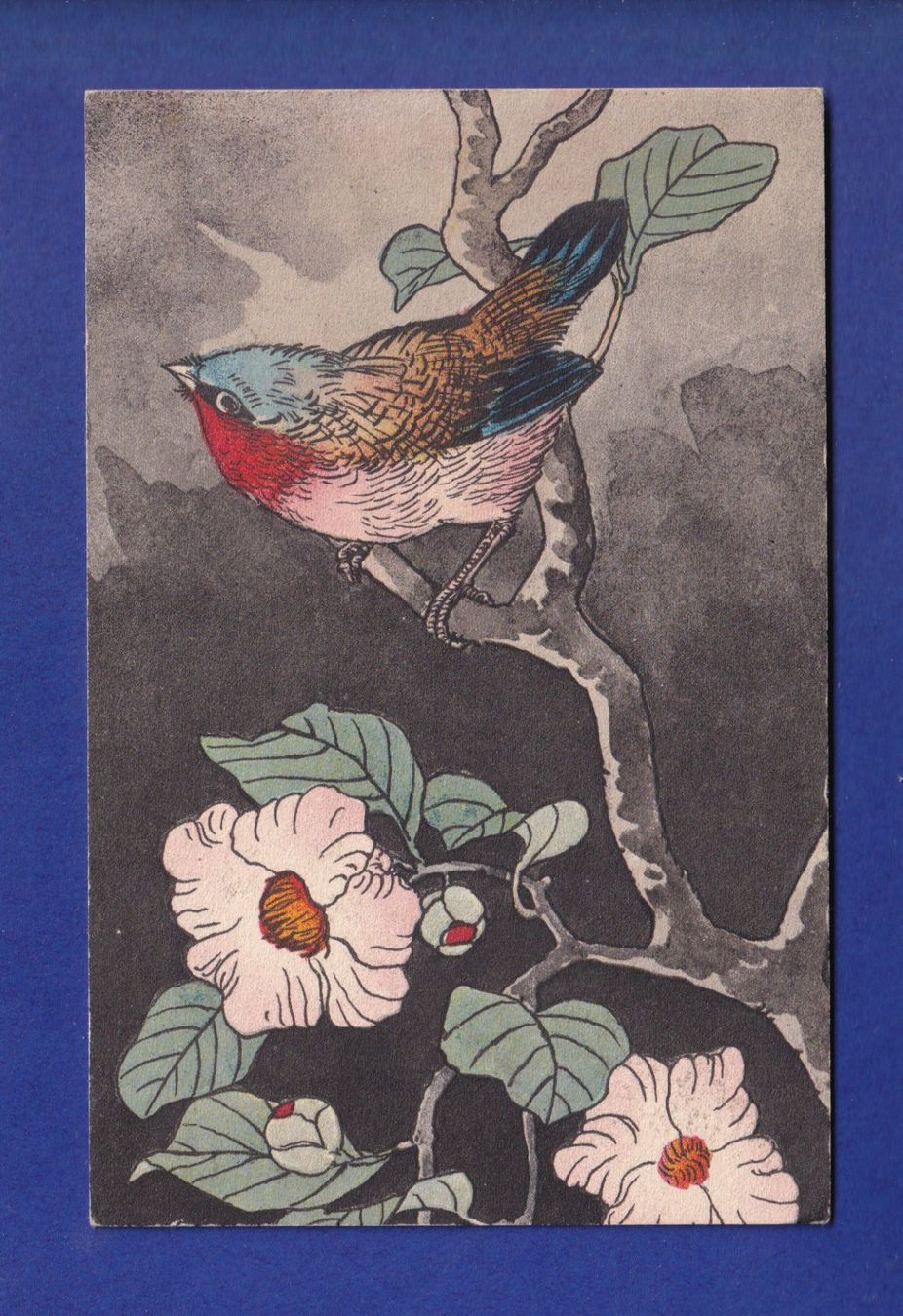 Ansichtskarten: OISEAU – Gebraucht aus Pully von nicecards-shop