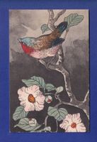 OISEAU