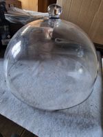 Haube für Torten / Kuchen