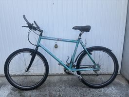 Vintage Mountainbike 90er Jahre Reynolds Magnum Rahmen