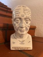 Studienkopf nach Carl Huters Psycho-Physiognomik