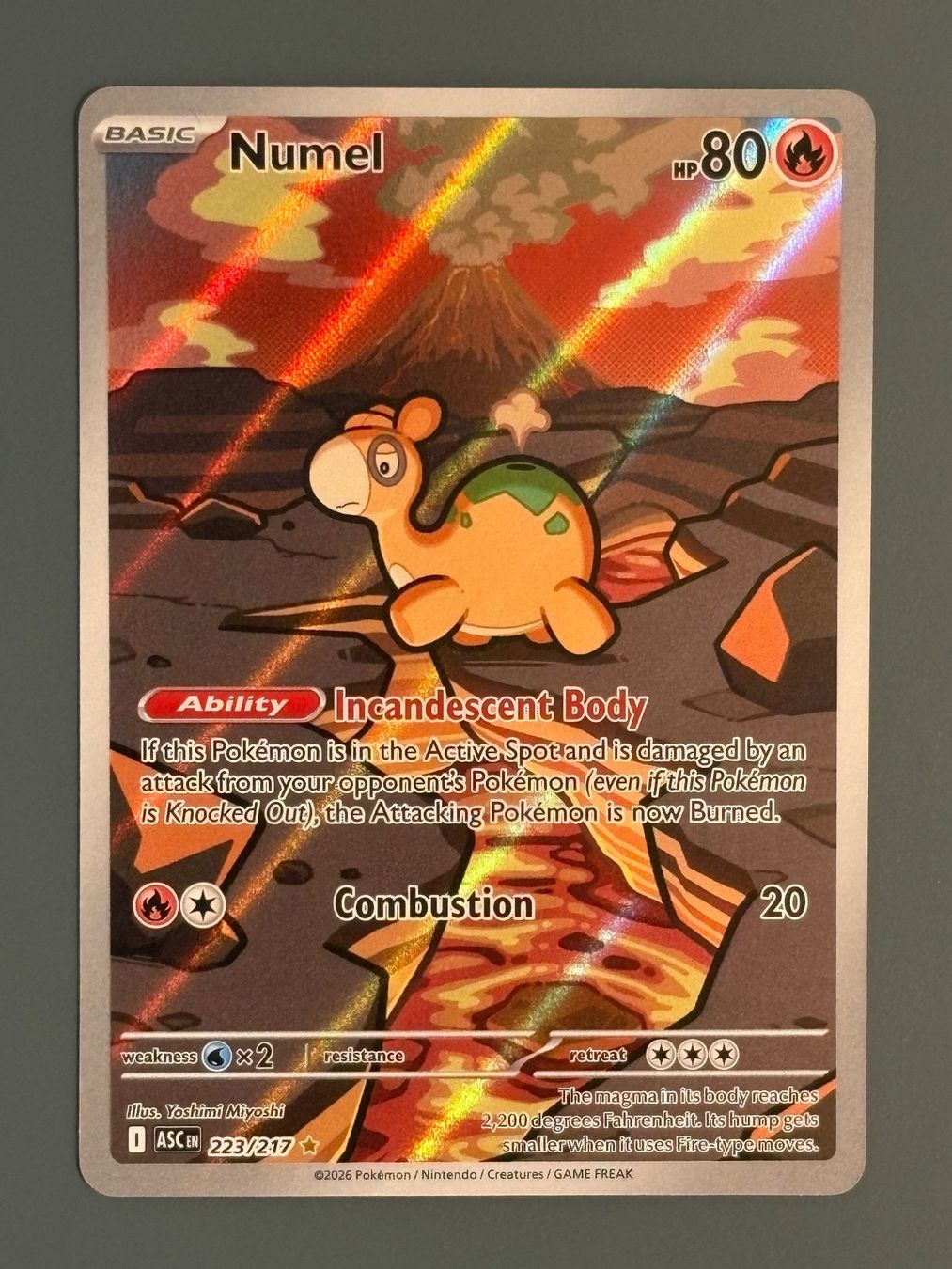 Pokémon Sammelbilder & Trading cards: Numel 223/217 - ASC - ENG – Neu (gemäss Beschreibung) aus Seewen SZ von Pokeace93