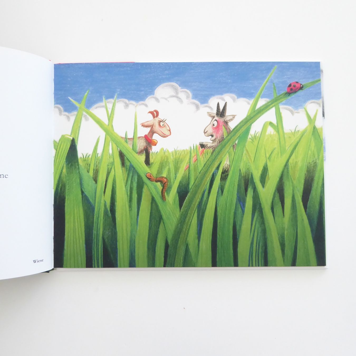 Libri: Der stinkende Geissbock - Duftbuch – Usato da Basel venduto da Kunterbunt12 3