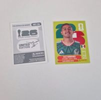 Panini Sticker MEX14