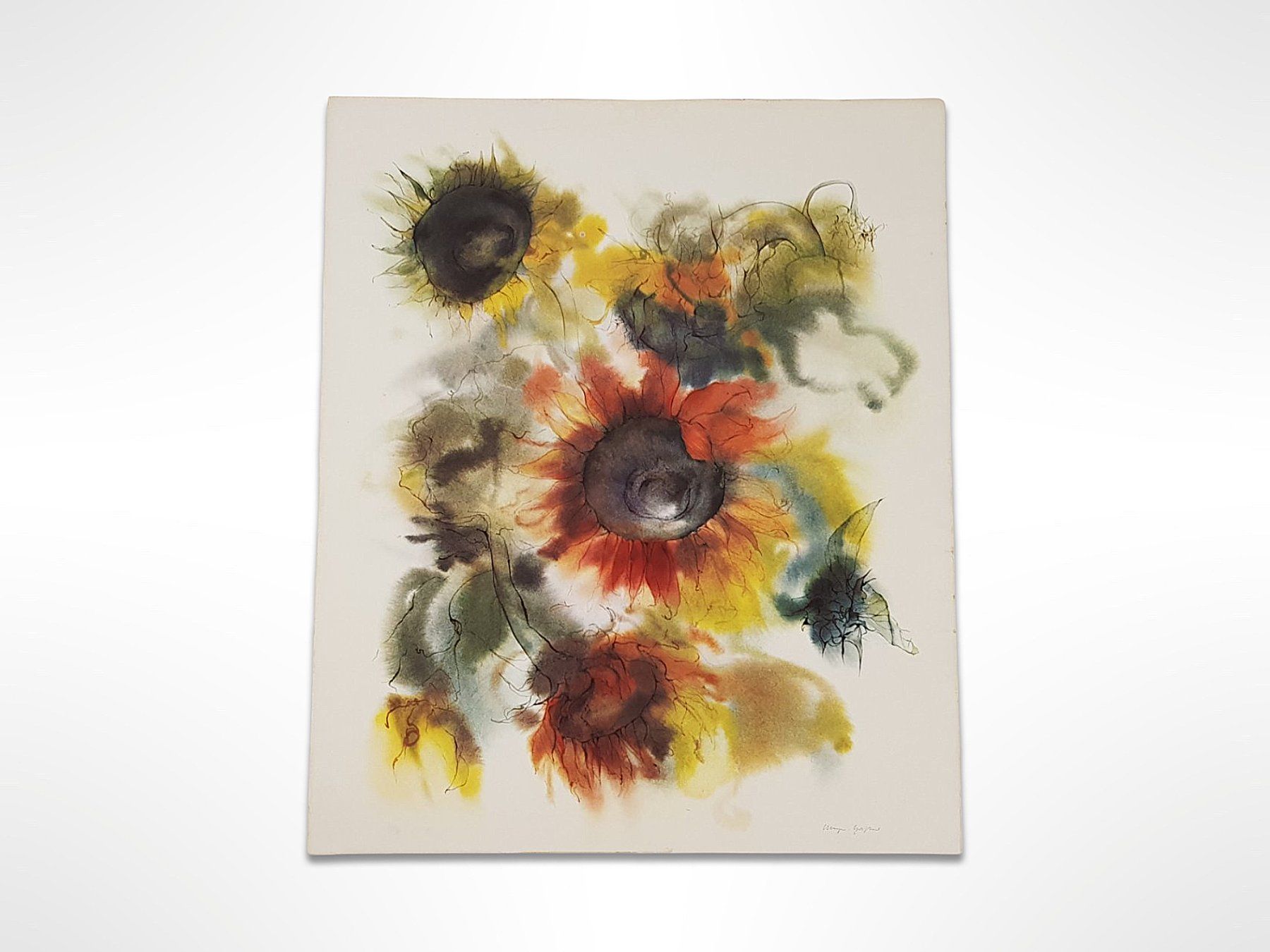 Foto & Immagini: Kunstdruck hochwertig "Meyer-Gasters" Sonnenblume – Usato da Suhr venduto da Restwert_Suhr 1
