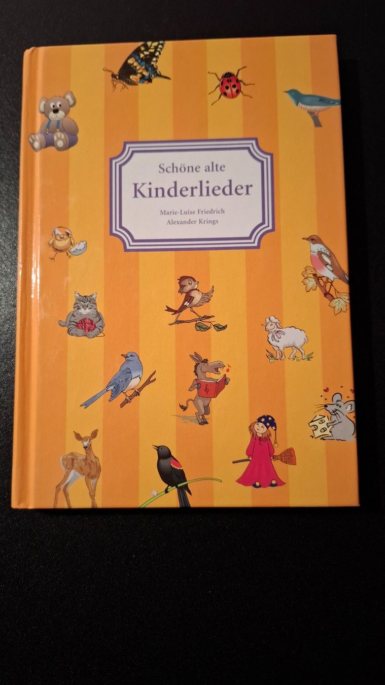 Libri: *Schöne alte Kinderlieder* M.-L. Friedrich / fE – Usato da Brütten venduto da Sigimi