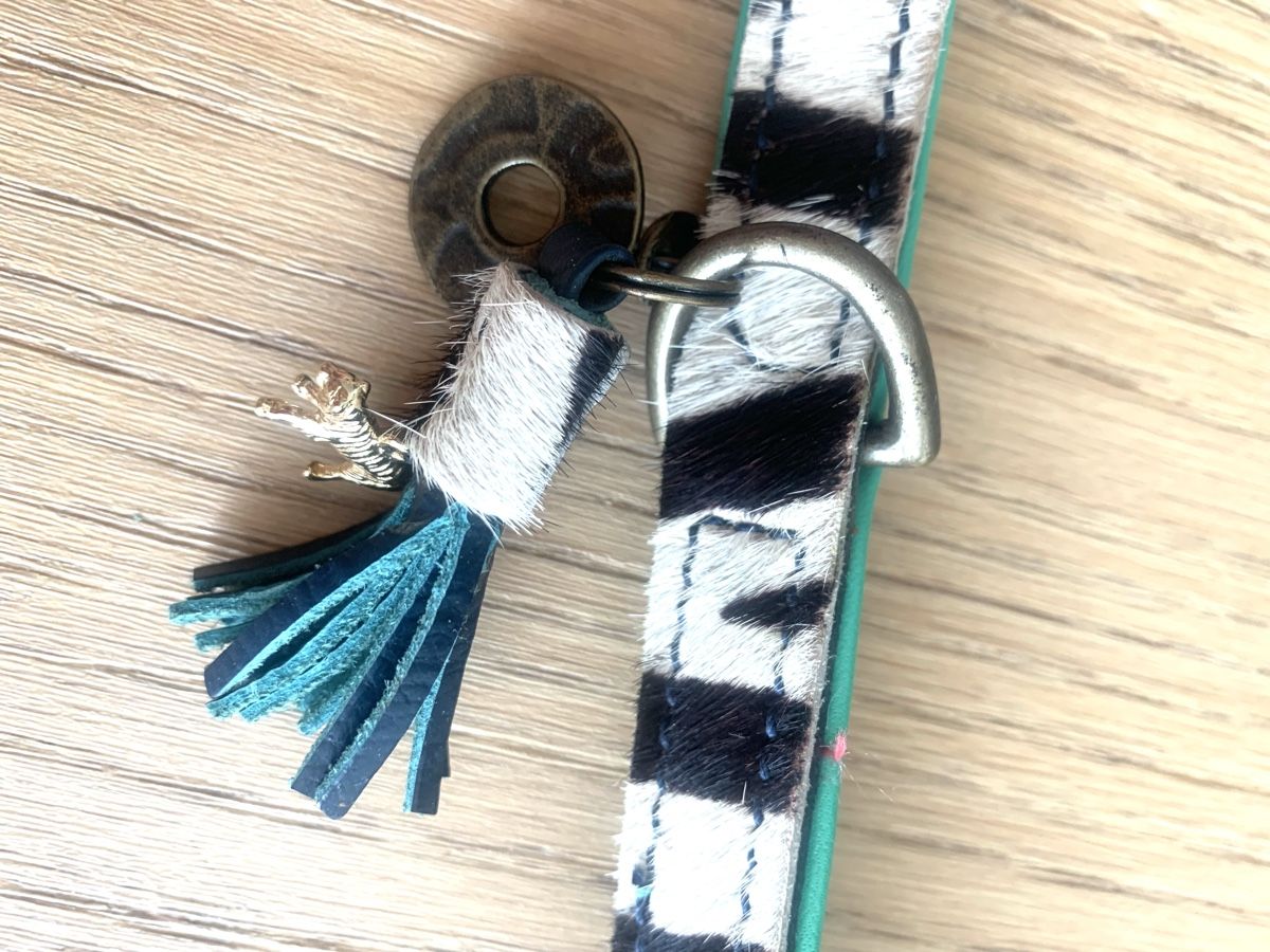 Guinzagli & Collari: Hundehalsband Echtleder – Nuovo (secondo la descrizione) da Hettlingen venduto da Timba02 1