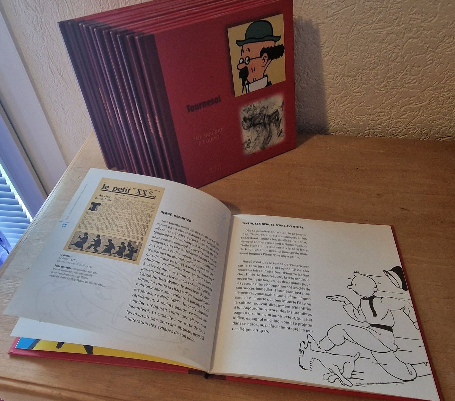 Fumetti: Collection TINTIN de luxe – Usato da Biel/Bienne venduto da Phyl 3