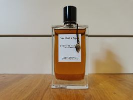Orchidee Vanille Van Cleef and Arpels
