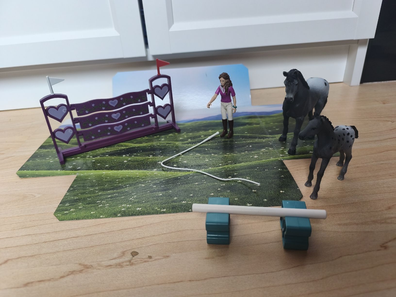 Schleich Giocattoli: Schleich Lisa's Turniertraining 42776 – Usato da Kernenried venduto da Daniela1984