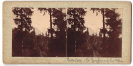 Stereo-Fotografie Interlaken, Blick vom 