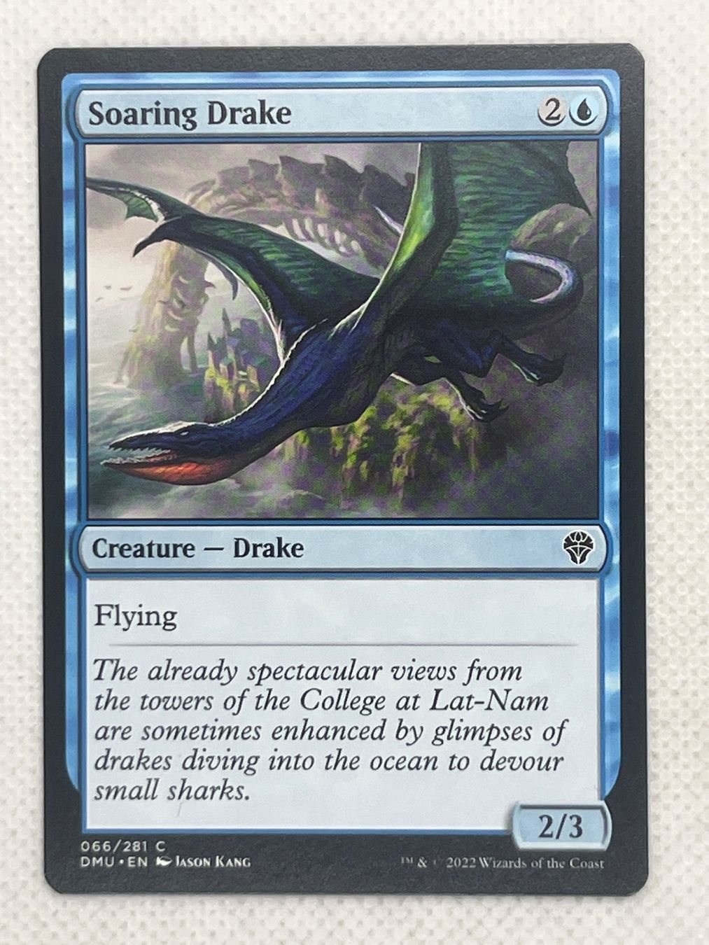 Magic The Gathering Sammelbilder & Trading cards: MTG Soaring Drake DMU 066 Englisch Common – Gebraucht aus Hinterkappelen von Kim1992