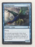 Seltene Magic Karte "Soaring Drake" - Top Zustand