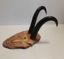 Geweih Gemshorn kleines Wandgeweih  19 hoch   nur Horn ca 14