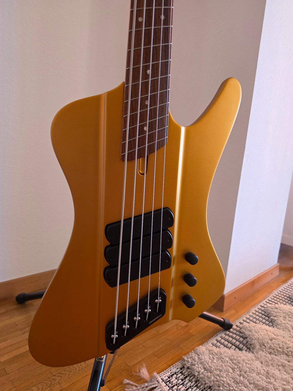 Strumenti musicali: Dingwall D-Roc 5 + premium gig bag – Nuovo (secondo la descrizione) da Bernex venduto da jon_FSK 1