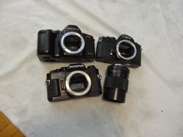 3 Analogkameras Yashica, COSINA, Olympus mit Objektiv