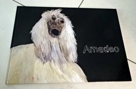 Amadeo - Der Windhund