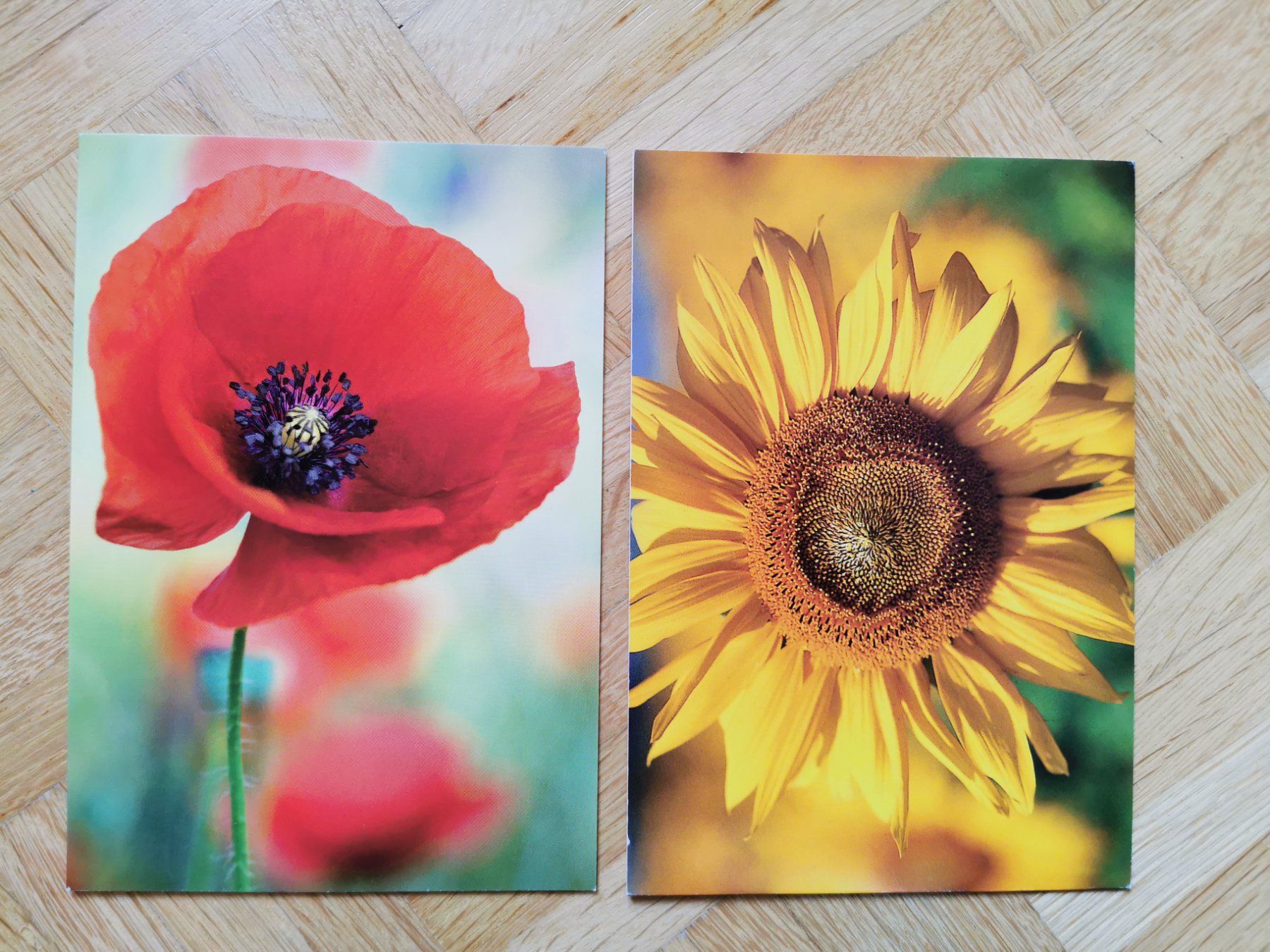 Cartoline: 2 Grusskarten Blumen (neu) – Nuovo (secondo la descrizione) da Stäfa venduto da flamingo_17