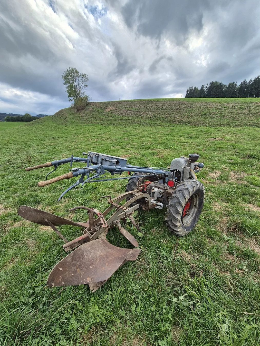 Grunder Tutte le macchine: Grunder mit Pflug – Usato da Egg (Flawil) venduto da Remofunk12 3