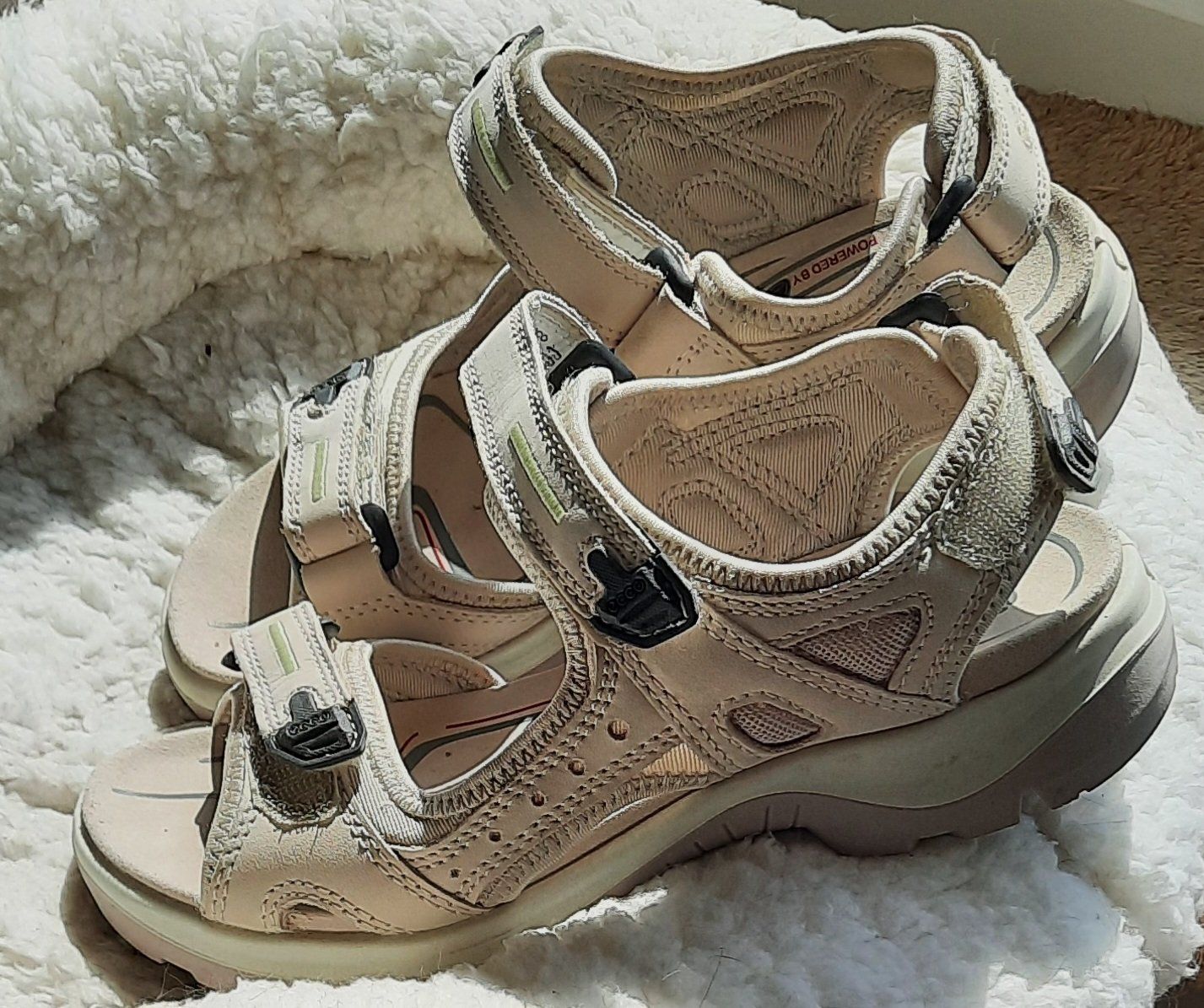 Ecco Damenschuhe: Ecco-Treckingsandalen , 37 – Gebraucht aus Forch von katjamo 1