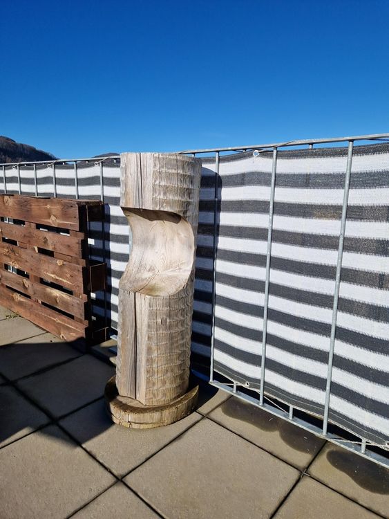 Baumstamm für garten Kaufen auf Ricardo
