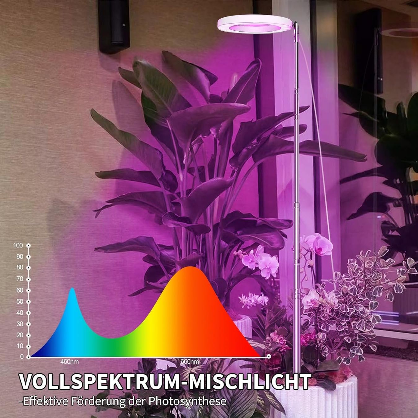 Gingko 3D-Lasergravur Kristallkugel Mit LED – Auf Nussbaumholz-Sockel, Touch-Steuerung, USB-C, In Geschenkbox
