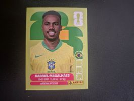 Panini WM 26 BRA 6