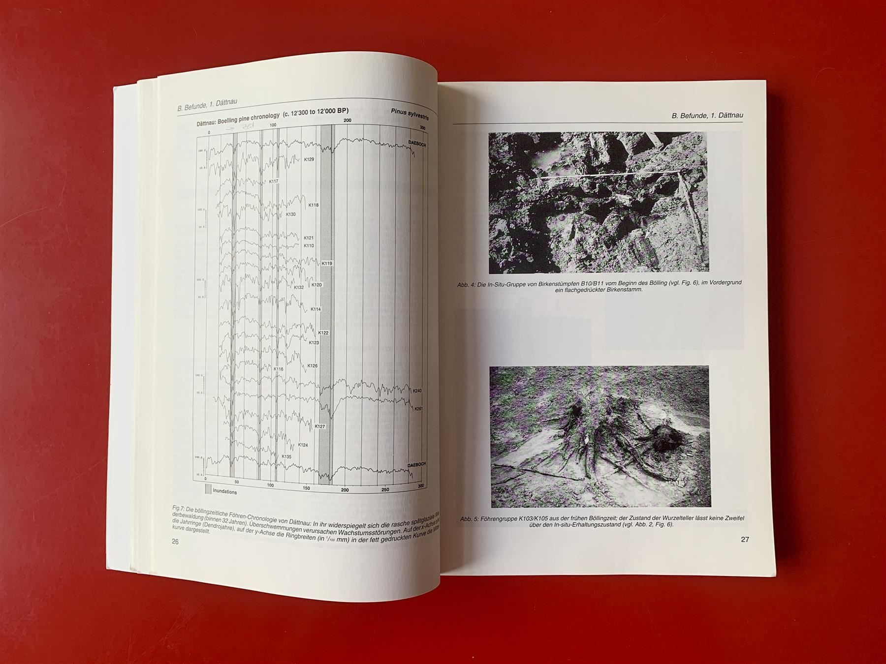 Libri: Buch Beiträge zur Klimageschichte – Usato da Zürich venduto da ZuercherBrockenhaus 6