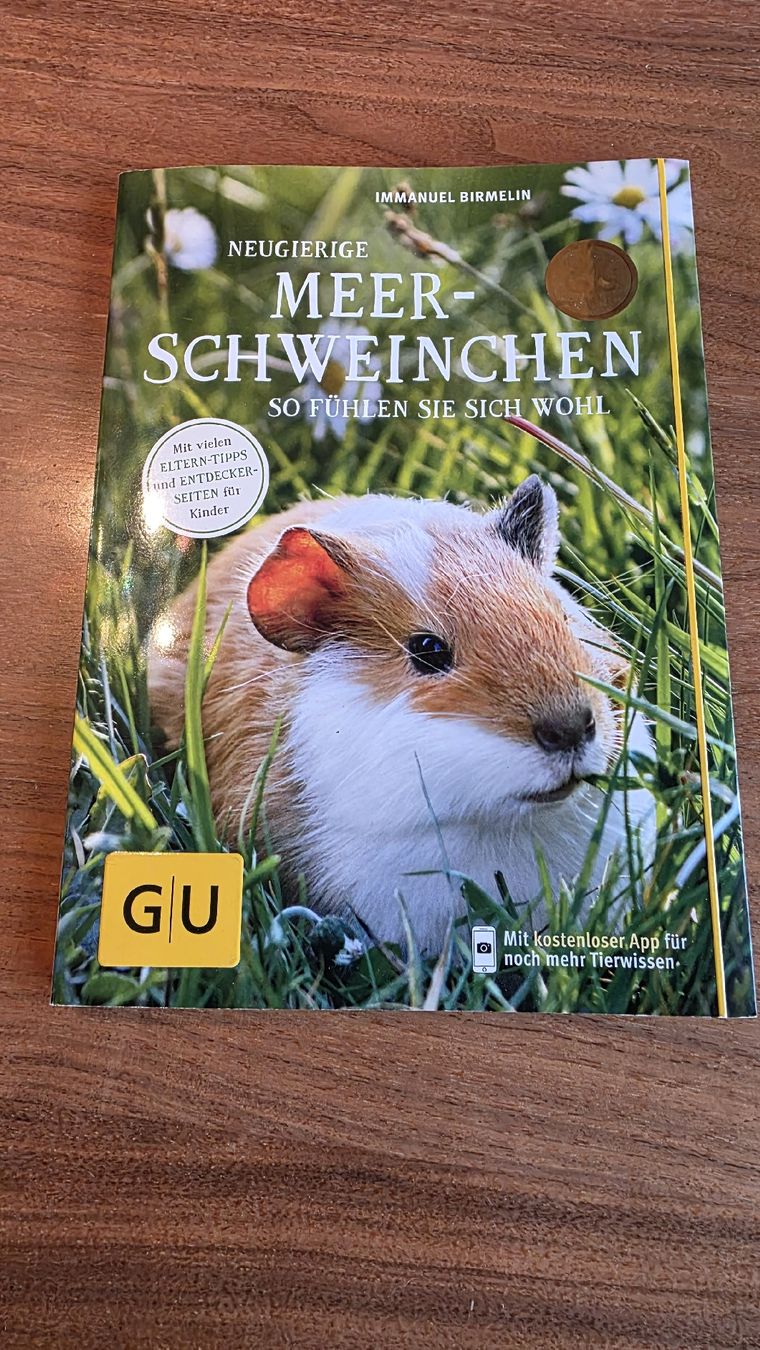 Libri: Buch: "Neugierige Meerschweinchen" – Usato da Niedergösgen venduto da MG46