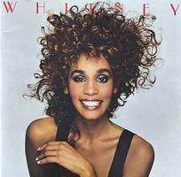 WHITNEY HOUSTON - THE MOMENT OF TRUTH TOUR
