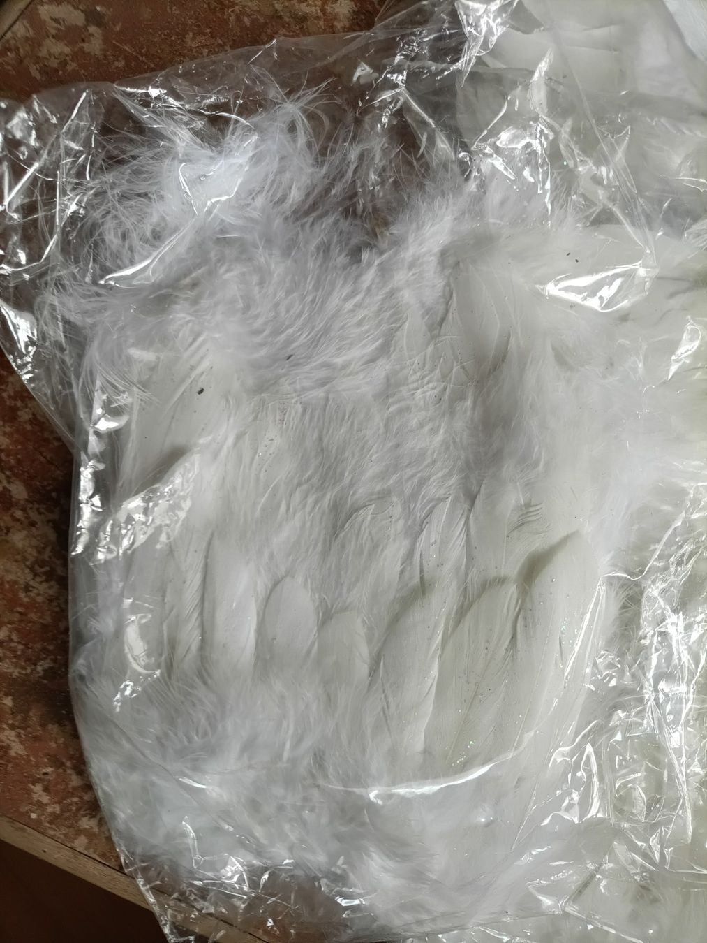 Monde des animaux: Echte Flügel zum Basteln – Neuf (Voir description) à Abtwil SG par Tonisberg 4