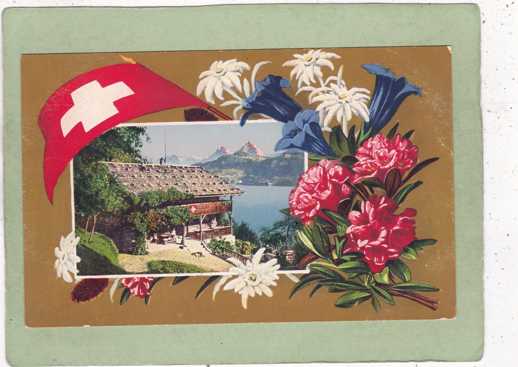 Ansichtskarten: Rütli Blumen – Gebraucht aus Herisau von Lisegrat2008