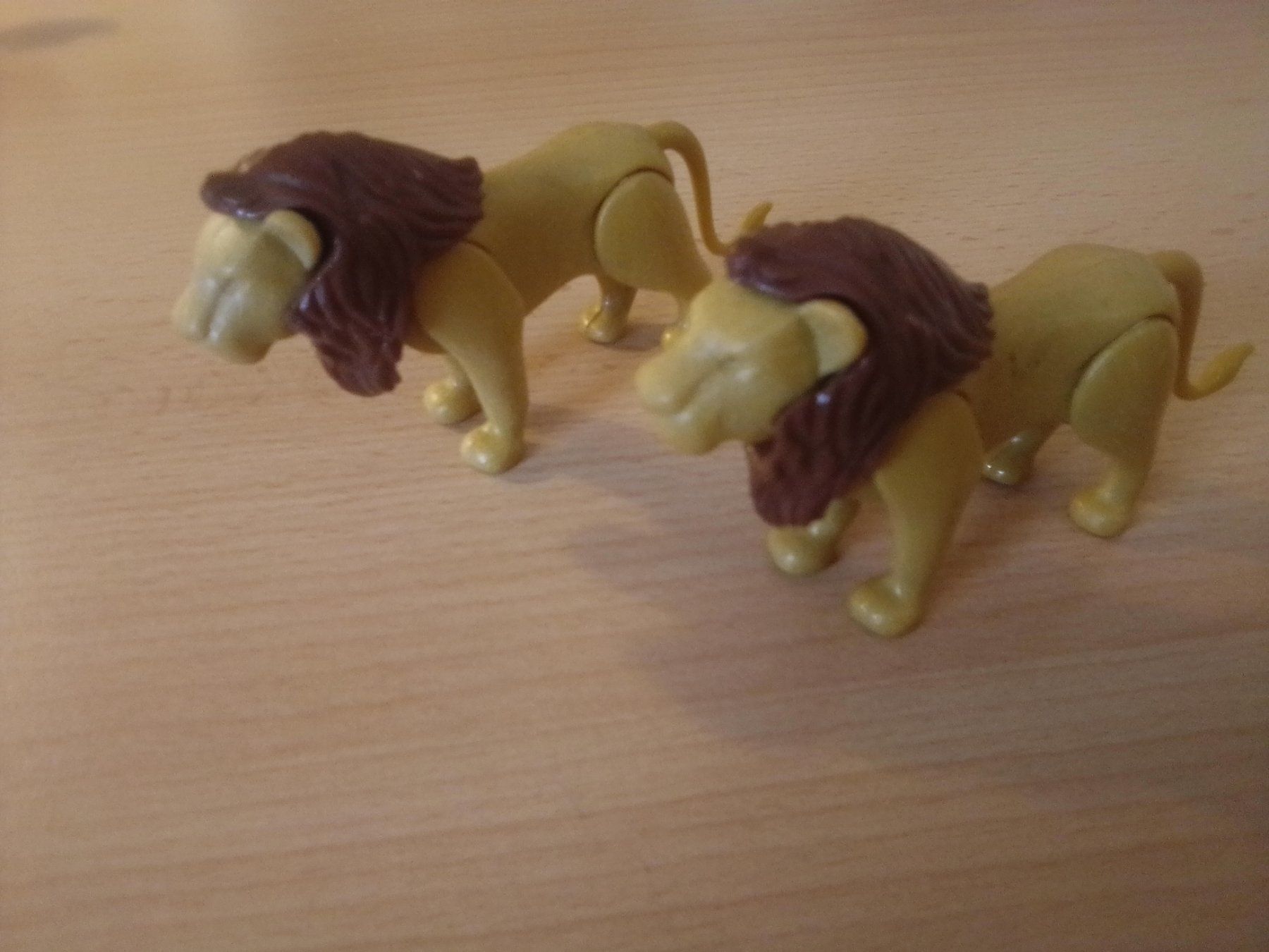 Playmobil Giocattoli: Playmobil - Zwei Löwen – Usato da Oftringen venduto da mwi_kv82