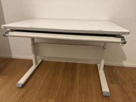 Paidi Pult, verstellbar in der Höhe und Schräge