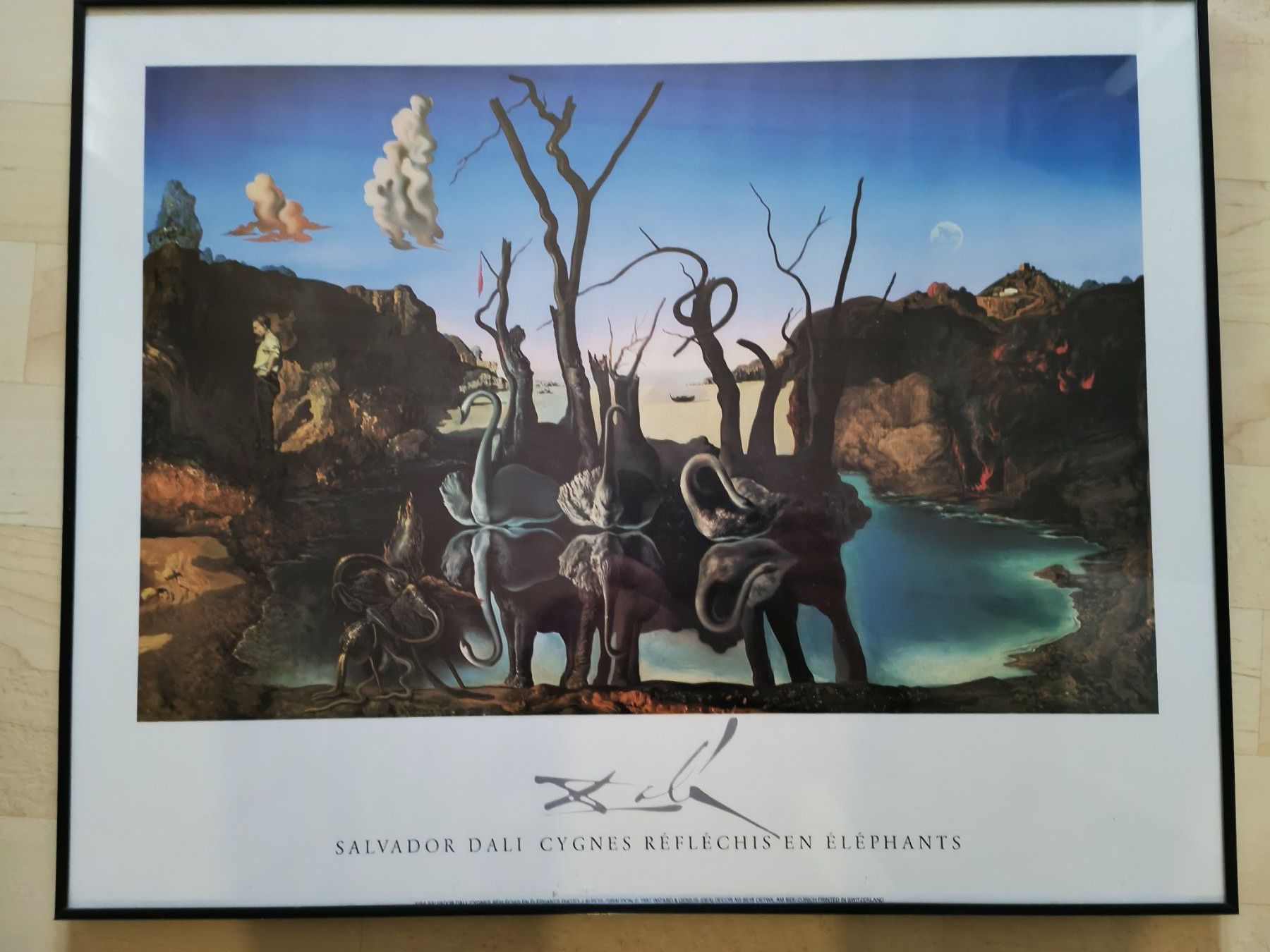 Poster & Bilder: Bild Salvador Dali "Swans reflecting Elephants" – Gebraucht aus Münchenbuchsee von Ruth0