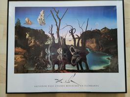 Bild Salvador Dali "Swans reflecting Elephants"