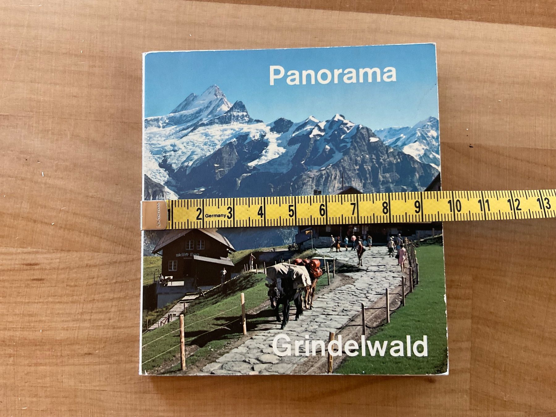 Cartes postales: Panorama Grindelwald – D'occasion à Rümlang par euqinom16