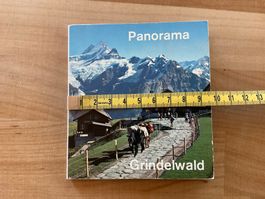 Panorama Grindelwald