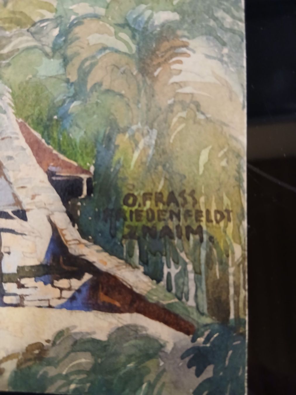 Dipinti: Aquarell Friedensfeldt – Usato da Wald ZH venduto da mar_5nsl 1