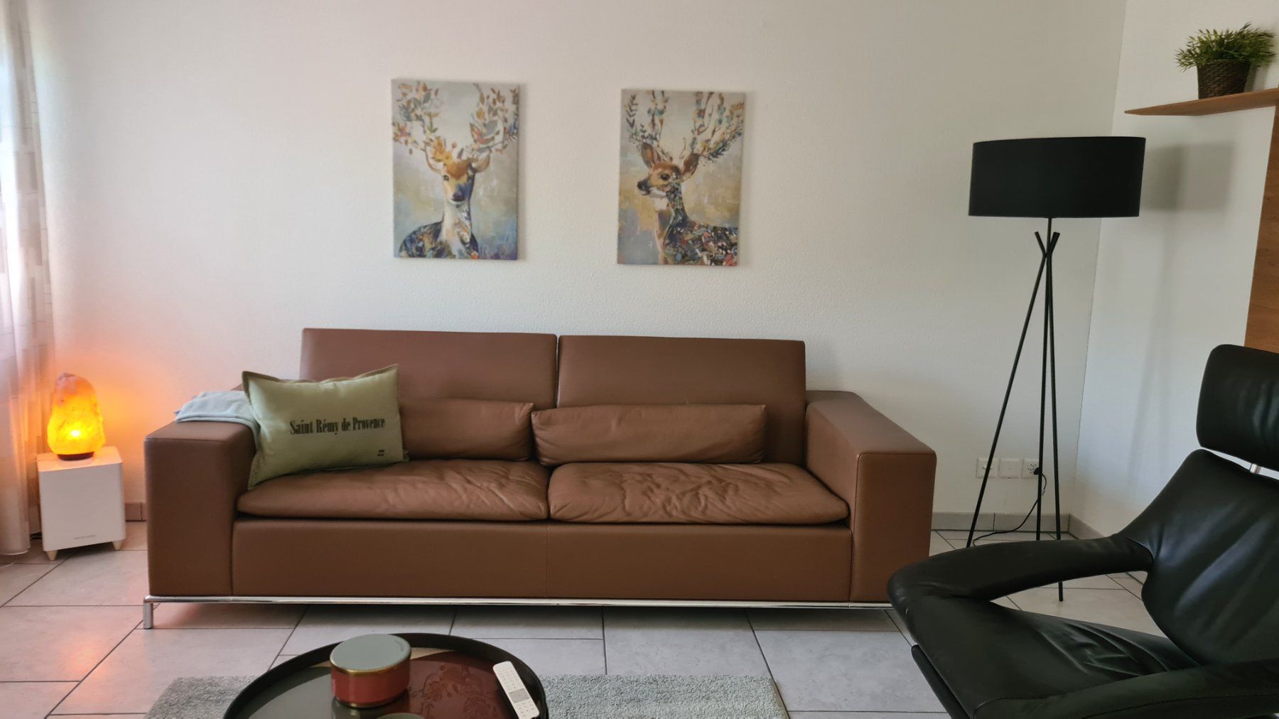 De Sede Divani: De Sede Ledersofa Modell DS-7 – Usato da Schöfflisdorf venduto da 5383