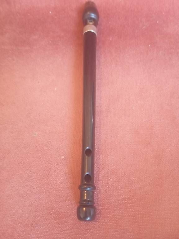 Strumenti musicali: Whistle, Flöte – Usato da Basel venduto da Petergunn 4