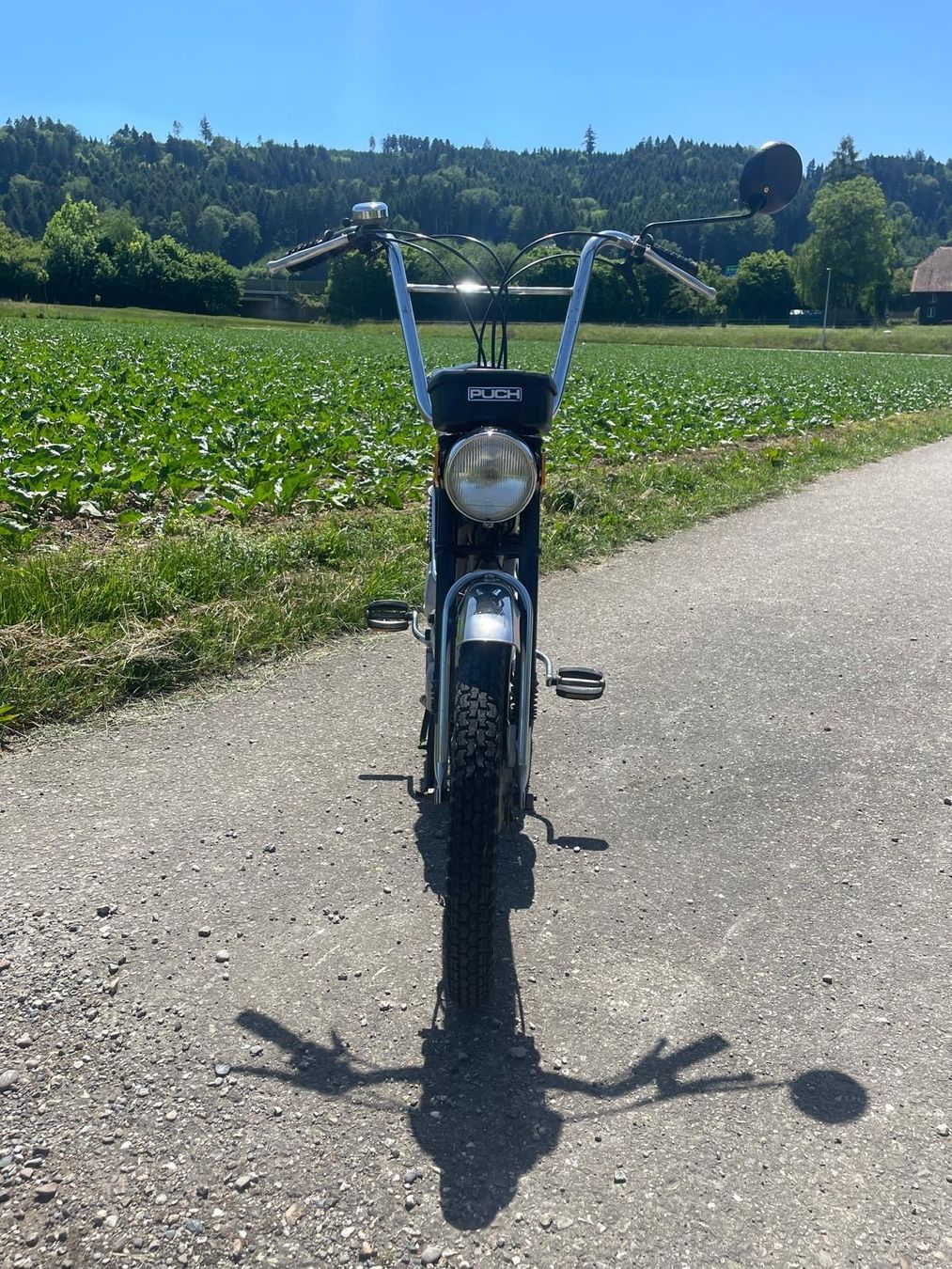 Puch Ciclomotori: Puch Super Maxi LG1 – Usato da Dagmersellen venduto da mat_w7cb 4