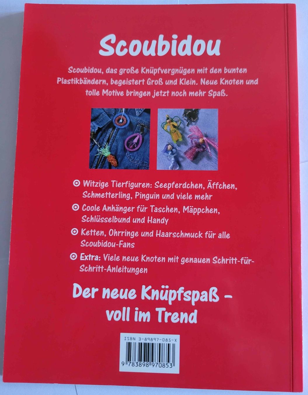 Libri: Scoubidou - Tolle Knüpfideen – Usato da Zignau venduto da farbun 1