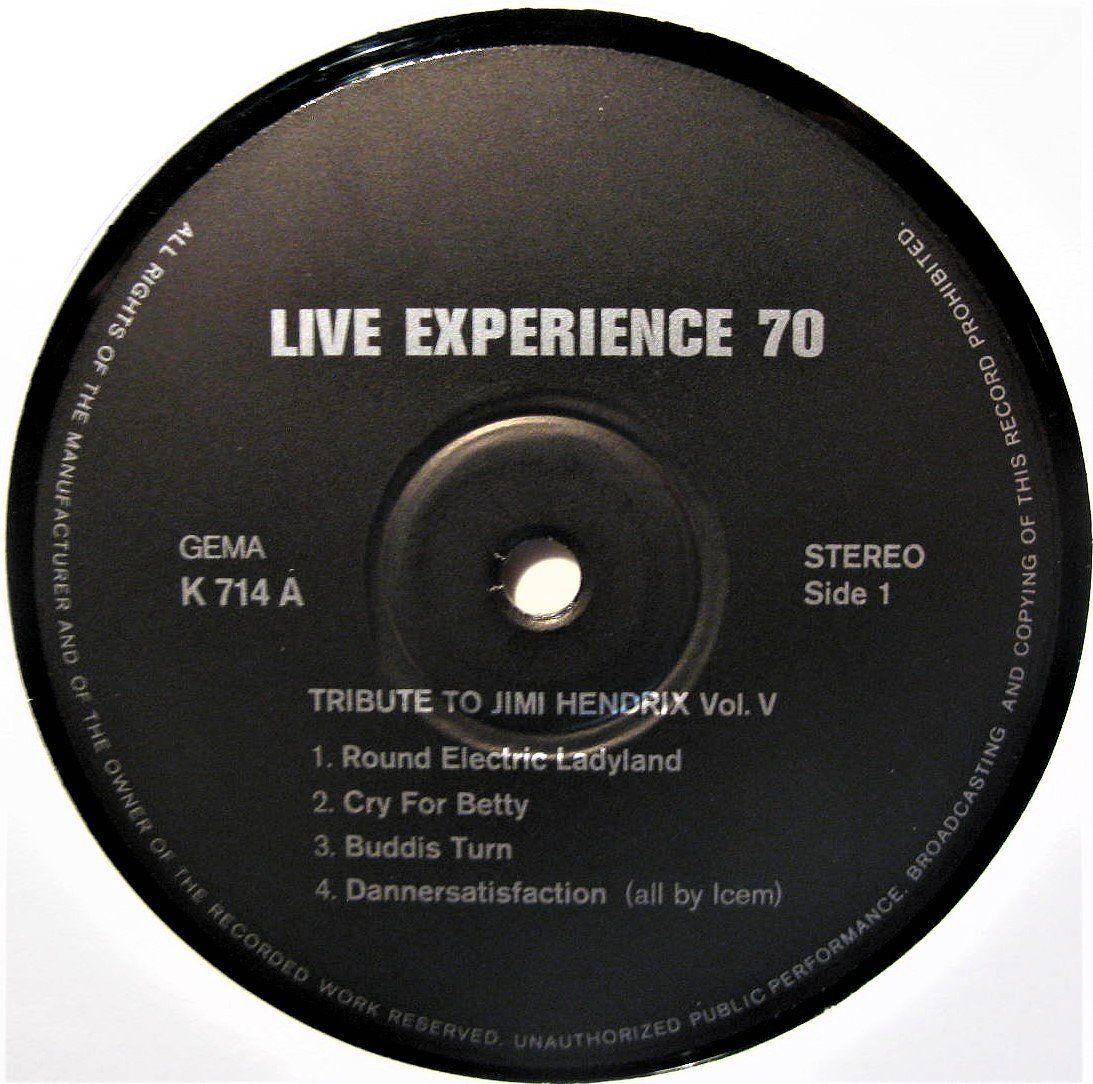 Dischi in vinile: THE LIVE EXPERIENCE BAND "Live Experience '70 Tribute to..." – Usato da Monthey venduto da Pingmub 4