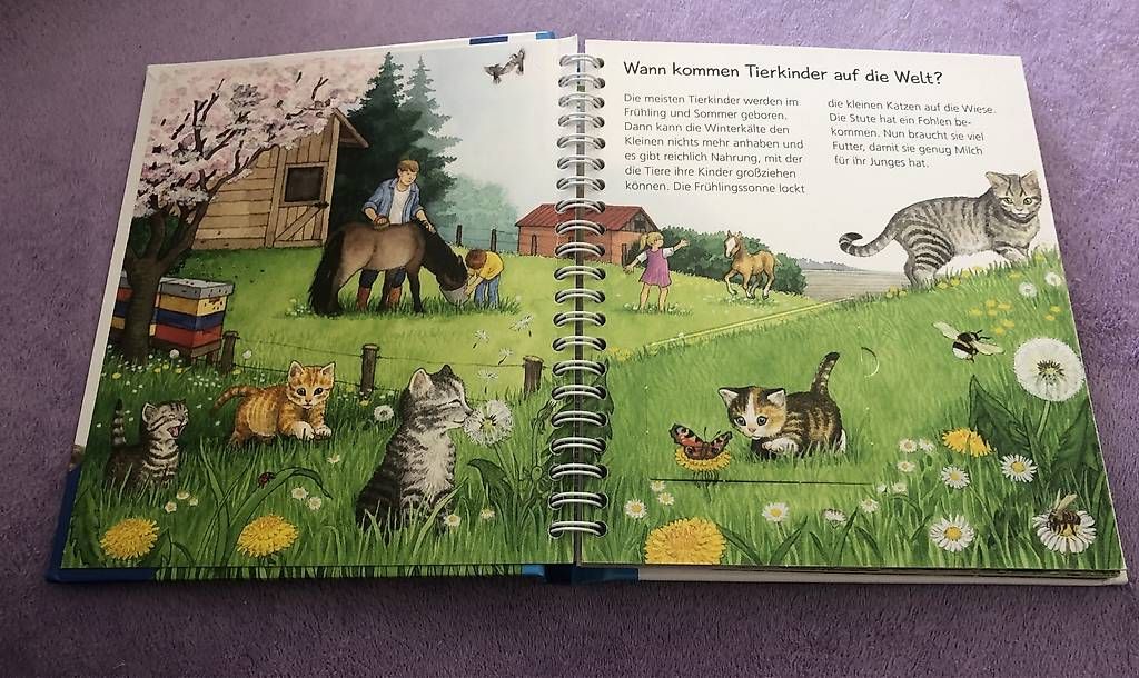 Bücher: Kinderbuch von 2-4 Jahren – Gebraucht aus Oberbuchsiten von etr_2jg5 1