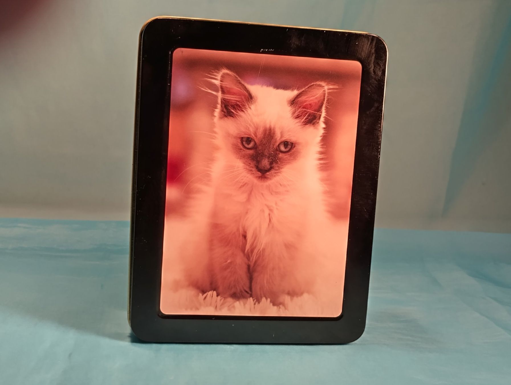 Altro in Decorazioni & Accessori: Blechbüchse mit Siam Katze – Usato da Bellach venduto da JingleCherry