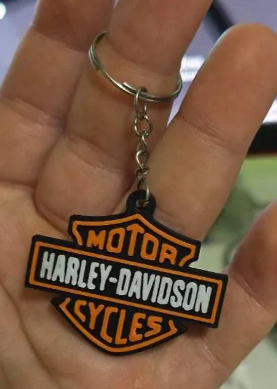 Harley-Davidson Cruisers: Harley Davidson – D'occasion à Dättwil AG par Ruiazevedo 4
