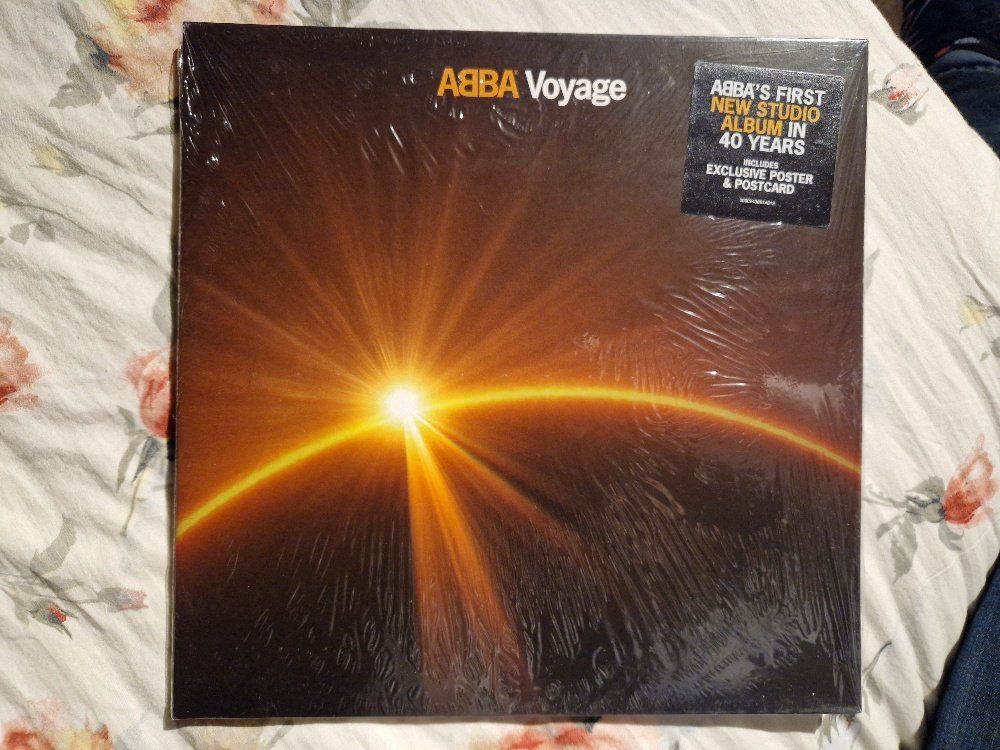 Dischi in vinile: ABBA – Voyage – Usato da Brittnau venduto da Zibu