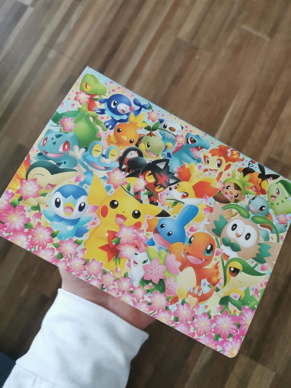 Pokémon Carte collezionabili: 18x jap. Pokémon Postkarten 1998-2000 selten – Nuovo e nell'imballaggio originale da Widen venduto da Zu-Schlag 2